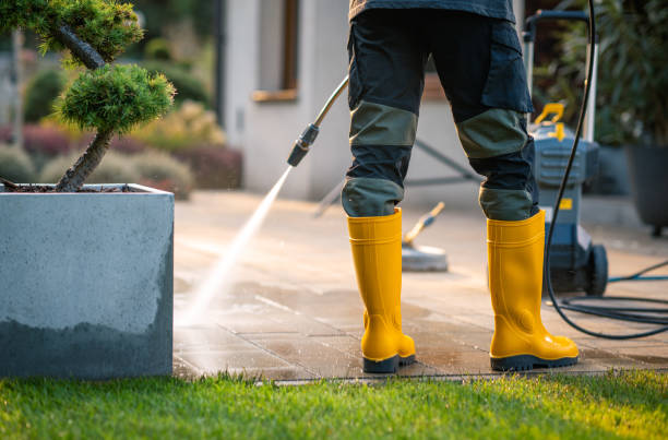 Best Pressure Washing Siding  in Elida, OH